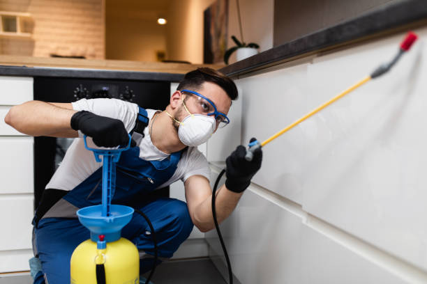 Best Emergency Pest Control  in Highland, MD