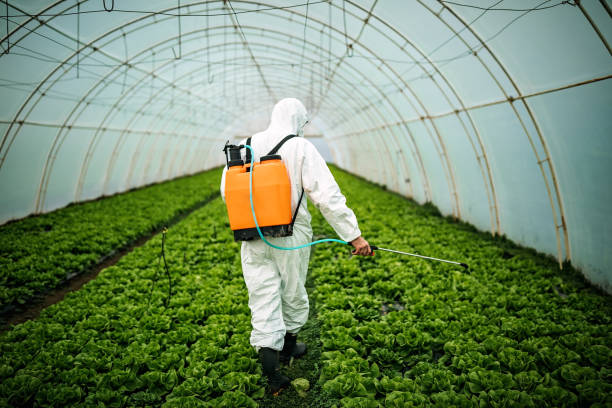 Best Best Pest Control Companies  in Highland, MD