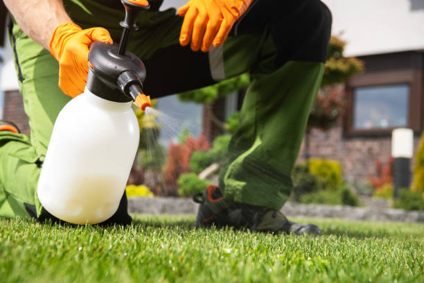 Best Termite Control Services  in Highland, MD