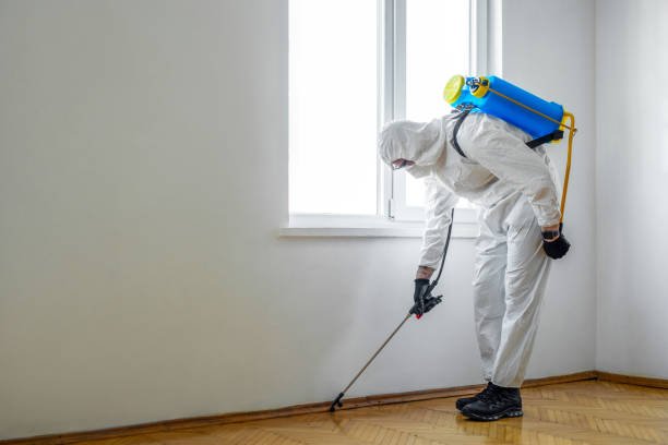 Best Affordable Pest Control Services  in Highland, MD