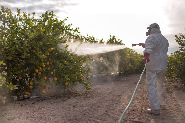 Best Pest Removal Services  in Highland, MD