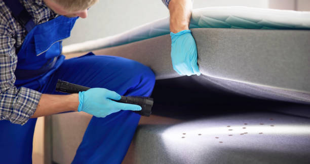 Best Ant Control Services  in Highland, MD
