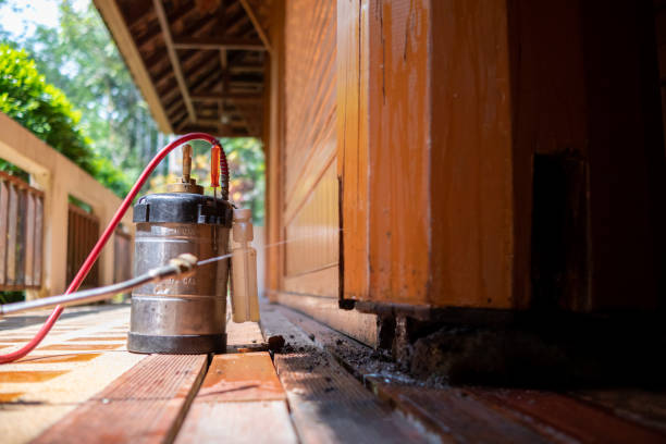 Pest Prevention Services in Highland, MD