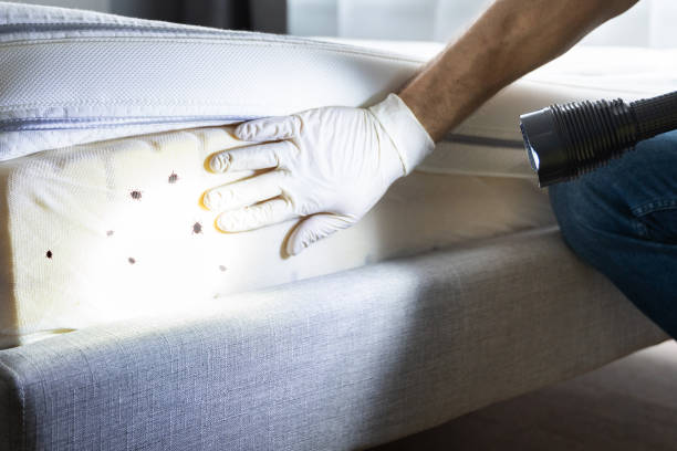 Best Exterminator Services  in Highland, MD