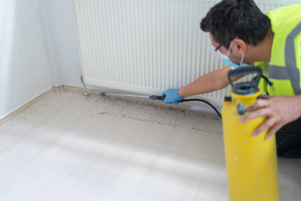 Best Pest Inspection Near Me  in Highland, MD